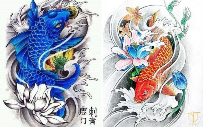 359+ Mẫu Hình Xăm Cá Chép Đẹp Ý Nghĩa Được Yêu Thích