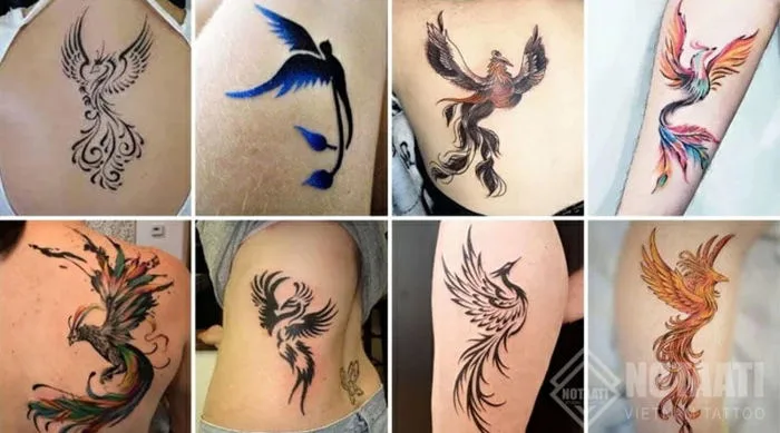 Ý Nghĩa Hình Xăm Phượng Hoàng Và Mẫu Hình Xăm Ở Các Vị Trí