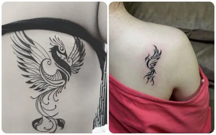 Top 79+ mẫu hình xăm phượng hoàng đẹp, độc cho nam và nữ