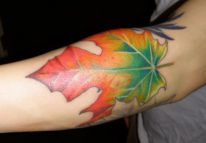 Ý nghĩa hình xăm Lá Phong - Cường Tattoo Salon- Dia chi xam hinh tai Quang  Ngai