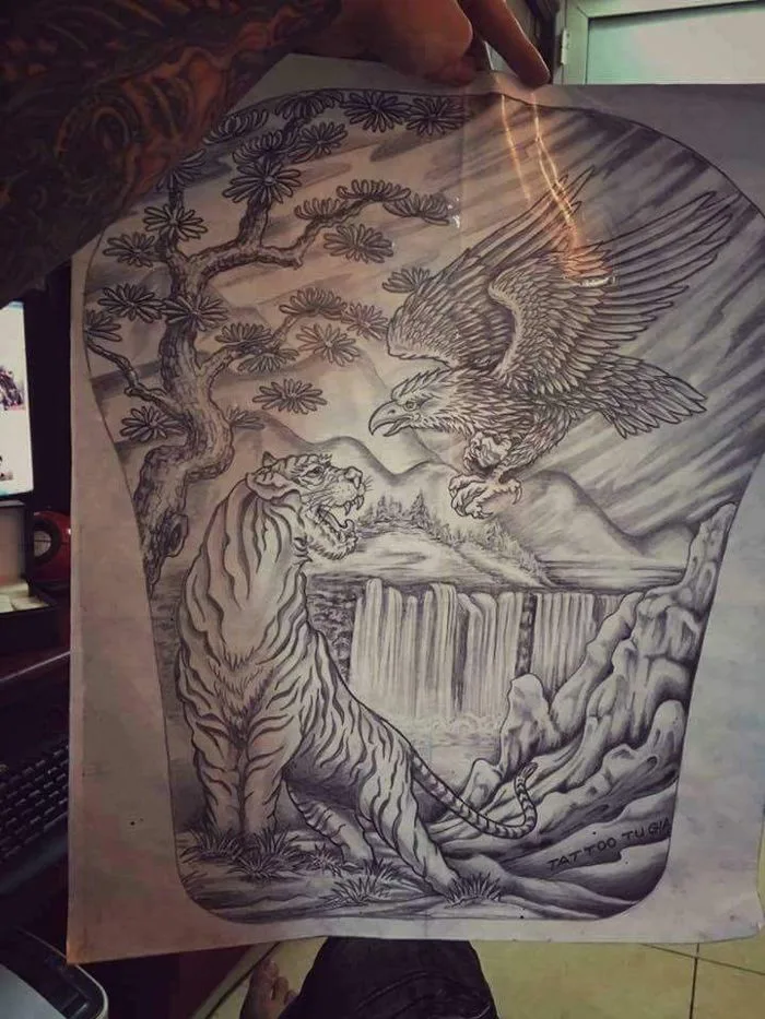 Hình xam hổ