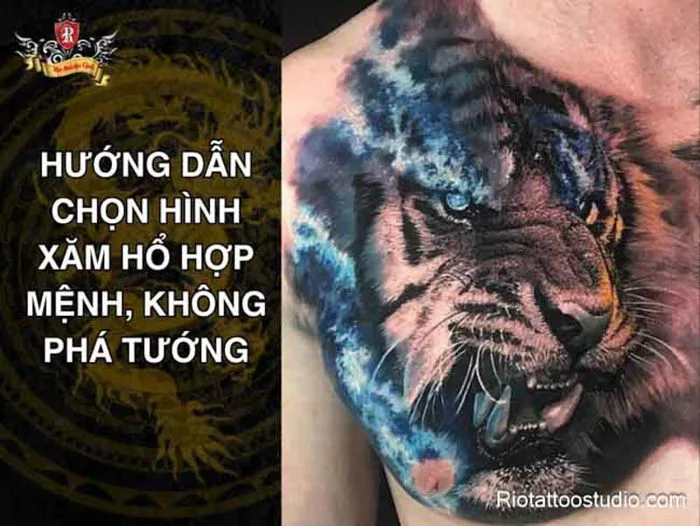 Hình xăm hổ ở ngực đẹp - độc lạ - thịnh hành 2027