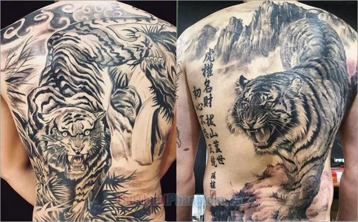 Những hình xăm hổ xuống núi đẹp nhất dành cho bạn