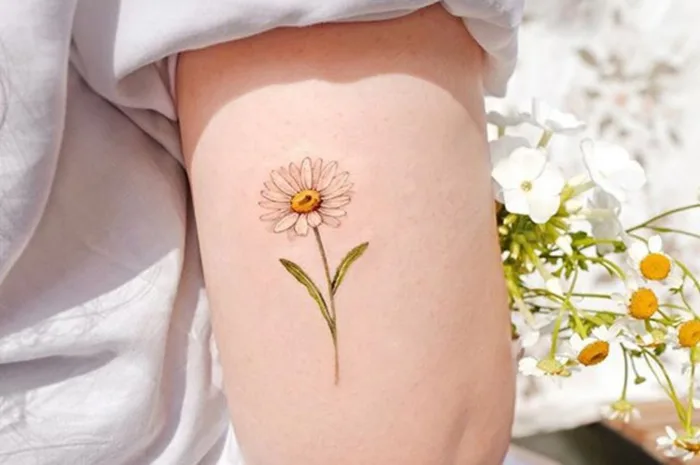 1001 hình xăm hoa cúc đẹp, ý nghĩa cho nam, nữ | Yody