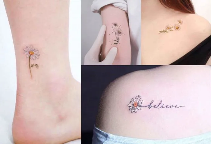 1001+ mẫu hình xăm hoa cúc điểm nhấn tinh tế cho nam và nữ
