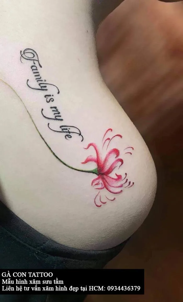 Mẫu hình xăm chữ và hoa bỉ ngạn đẹp cho nữ | Hình xăm hoa bỉ ngạn mini, Hình  xăm tên, Hình xăm cáo