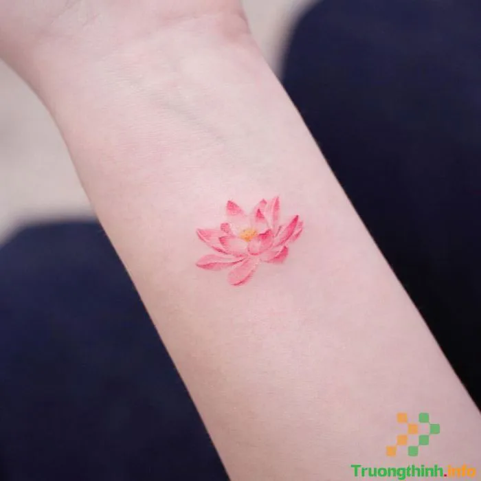 1️⃣】 Ý nghĩa hình xăm hoa sen? Những mẫu hình xăm hoa sen mini đẹp nhất ™