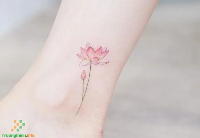 1️⃣】 Ý nghĩa hình xăm hoa sen? Những mẫu hình xăm hoa sen mini đẹp nhất ™