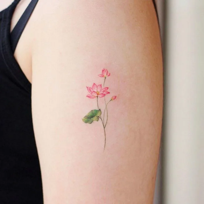 Khám phá những mẫu hình xăm hoa sen mini đẹp nhất, tinh tế và ấn tượng