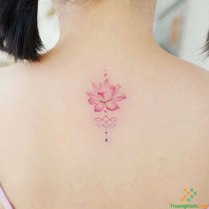 1️⃣】 Ý nghĩa hình xăm hoa sen? Những mẫu hình xăm hoa sen mini đẹp nhất ™