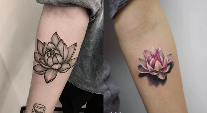Hình xăm hoa sen và vị trí xăm đẹp cho cả nam và nữ