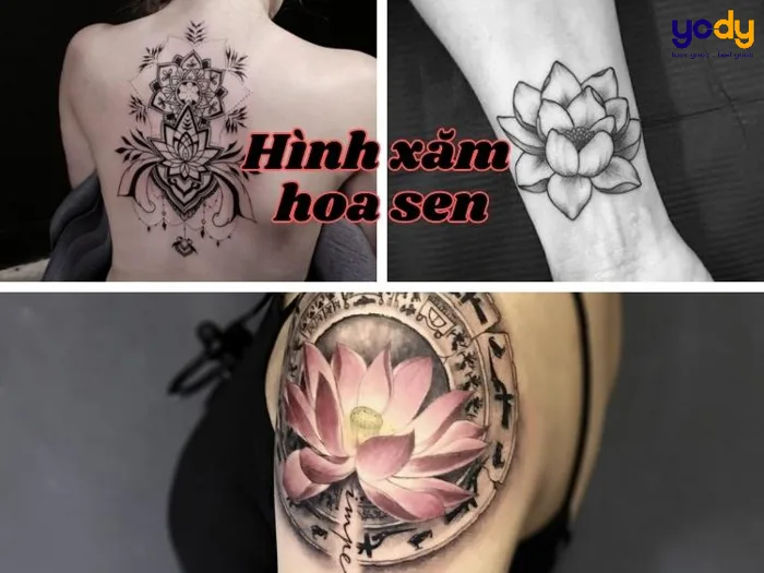 Giải mã ý nghĩa hình xăm hoa sen và 99+ hình xăm hoa sen đẹp | Yody