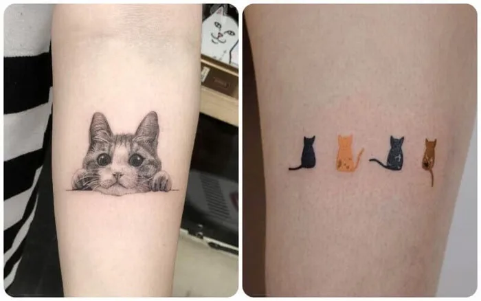 100+ Mẫu hình xăm mèo mini đẹp, cute cho nam, nữ và cặp đôi