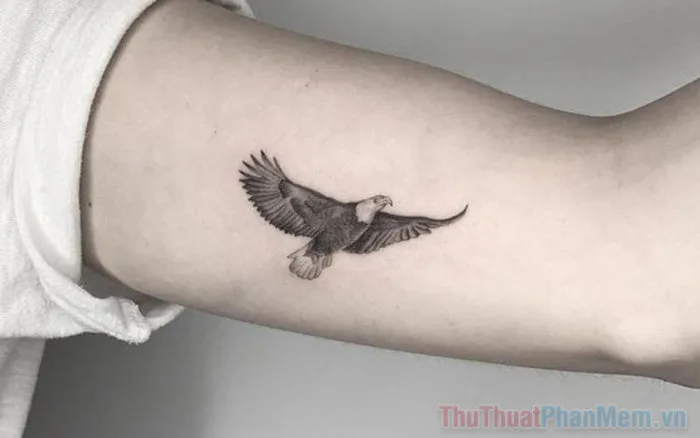 Hình xăm mini cho nam đẹp & ý nghĩa