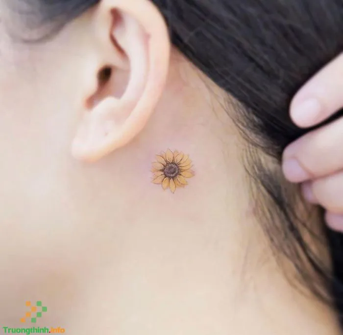 1️⃣】 Hình xăm hoa hướng dương có ý nghĩa gì? Mẫu hình xăm hoa hướng dương  mini nhỏ đẹp nhất ™