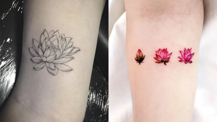 150+ hình xăm hoa sen mini đẹp, hàm chứa nhiều ý nghĩa