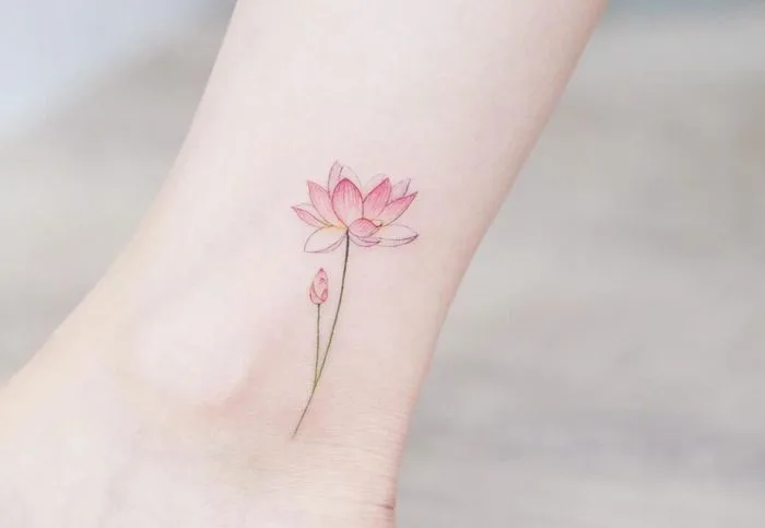 Khám phá những mẫu hình xăm hoa sen mini đẹp nhất, tinh tế và ấn tượng
