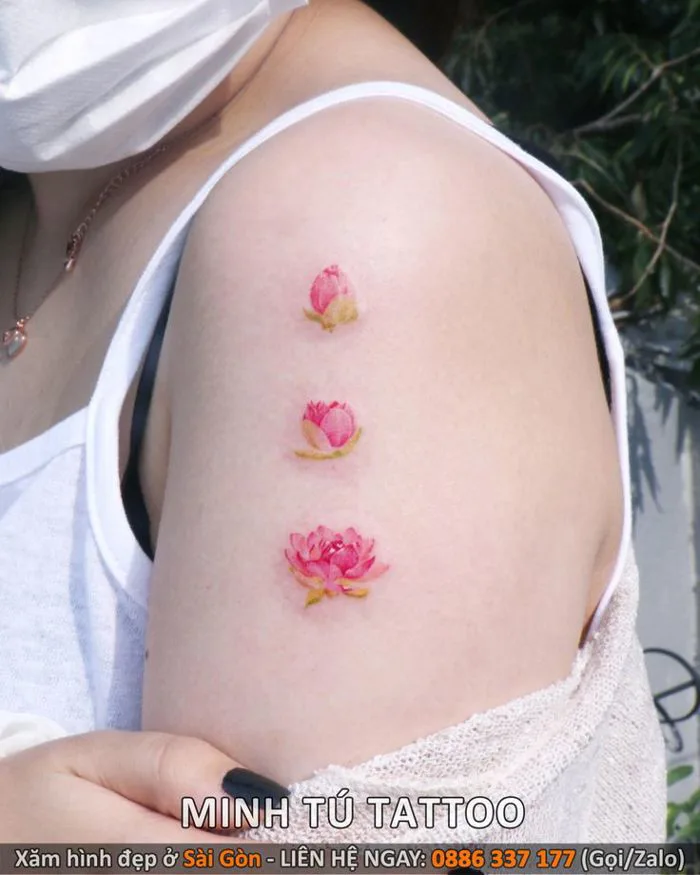 Hình xăm hoa sen mini ở bắp tay