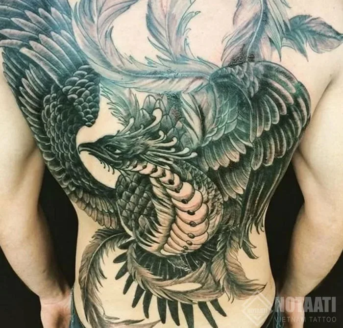 Ý Nghĩa Hình Xăm Phượng Hoàng Và Mẫu Hình Xăm Ở Các Vị Trí