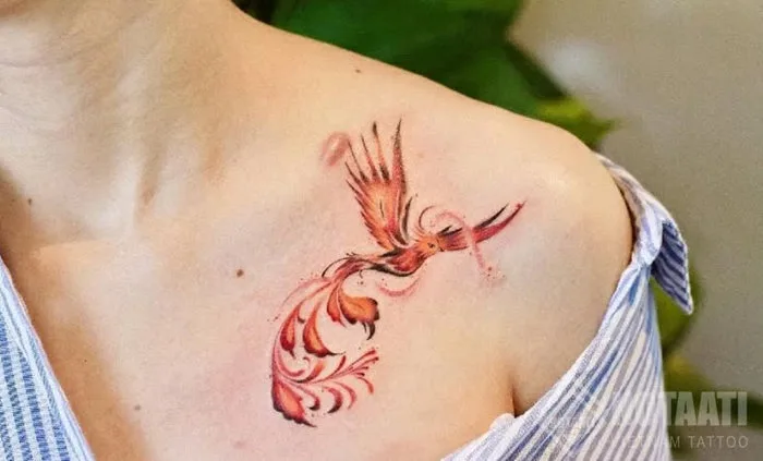 Ý Nghĩa Hình Xăm Phượng Hoàng Và Mẫu Hình Xăm Ở Các Vị Trí