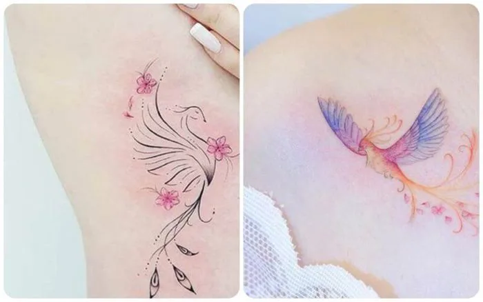 Top 79+ mẫu hình xăm phượng hoàng đẹp, độc cho nam và nữ