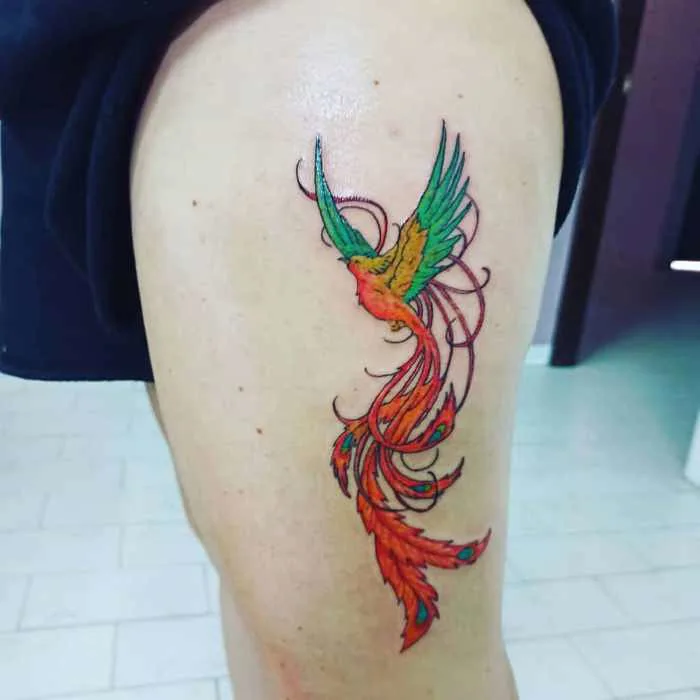 150+ hình xăm phượng hoàng mini nam & nữ ấn tượng