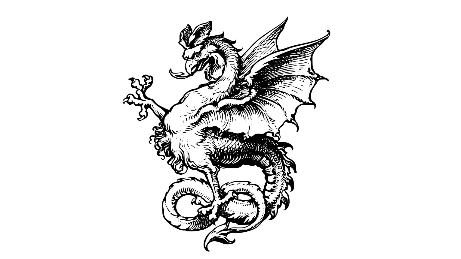 hinhxamnam