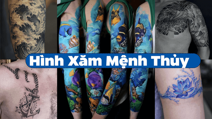menh-thuy-xam-hinh-gi-hop-1