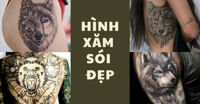 1099+ Hình xăm Con Sói Đẹp & Ý nghĩa Hay 2025
