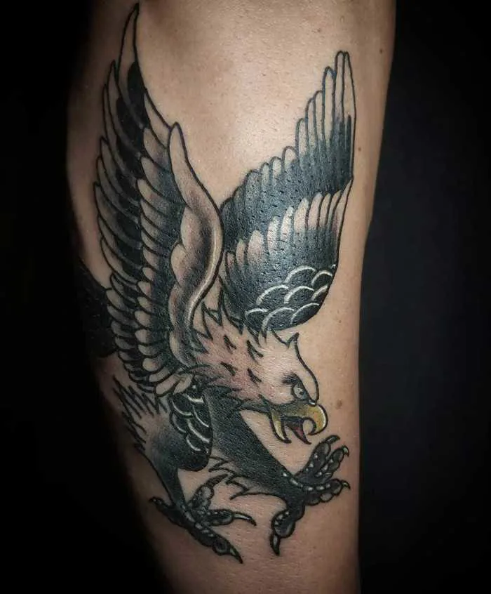 Xăm hình đại bàng chất như nước cất cho những người đam mê tattoo