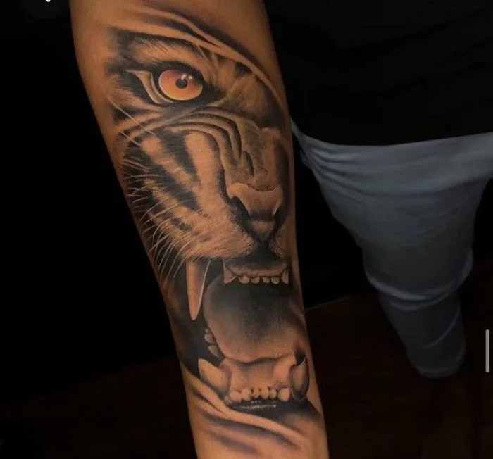 Khám phá 900+ ý tưởng Tiger tattoo hình xăm hổ và hình xăm con hổ | hình  xăm, xăm, hình xăm sư tử và các ý tưởng khác