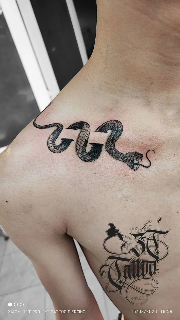 Snake tattoo wrapped around collarbone - 3T Tattoo Hình xăm rắn quấn xương  quai xanh