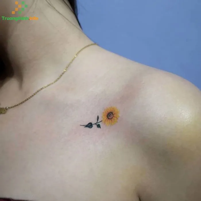 1️⃣】 Hình xăm hoa hướng dương có ý nghĩa gì? Mẫu hình xăm hoa hướng dương  mini nhỏ đẹp nhất ™