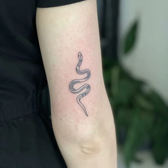 100+ hình xăm rắn, Medusa mini | Ý nghĩa hình xăm rắn