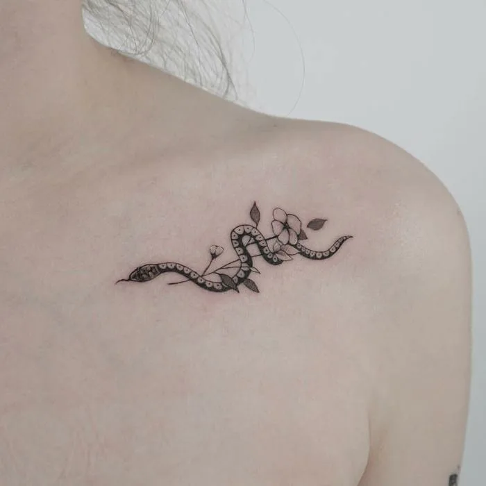 100+ hình xăm rắn, Medusa mini | Ý nghĩa hình xăm rắn