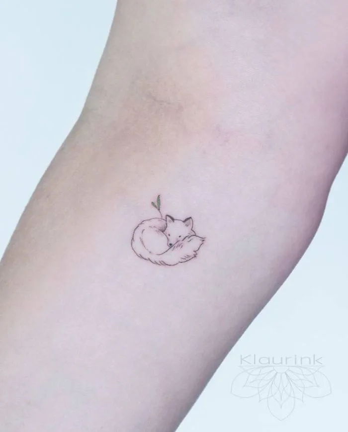Fox mini ?