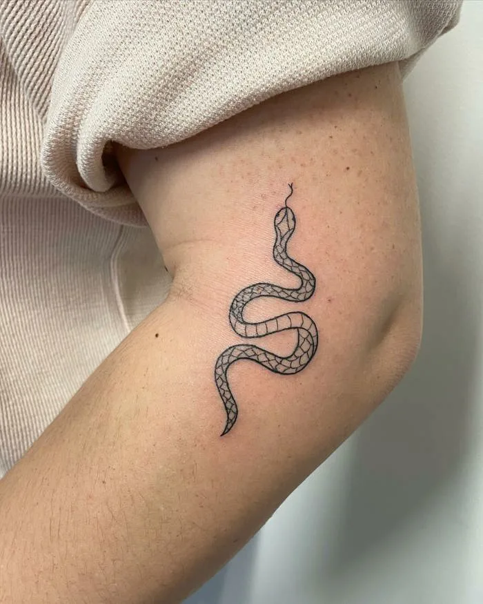 100+ hình xăm rắn, Medusa mini | Ý nghĩa hình xăm rắn