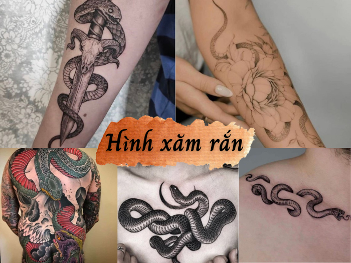Lưu ngay 99+ hình xăm rắn mới mẻ, ý nghĩa nhất năm 2024 | Yody