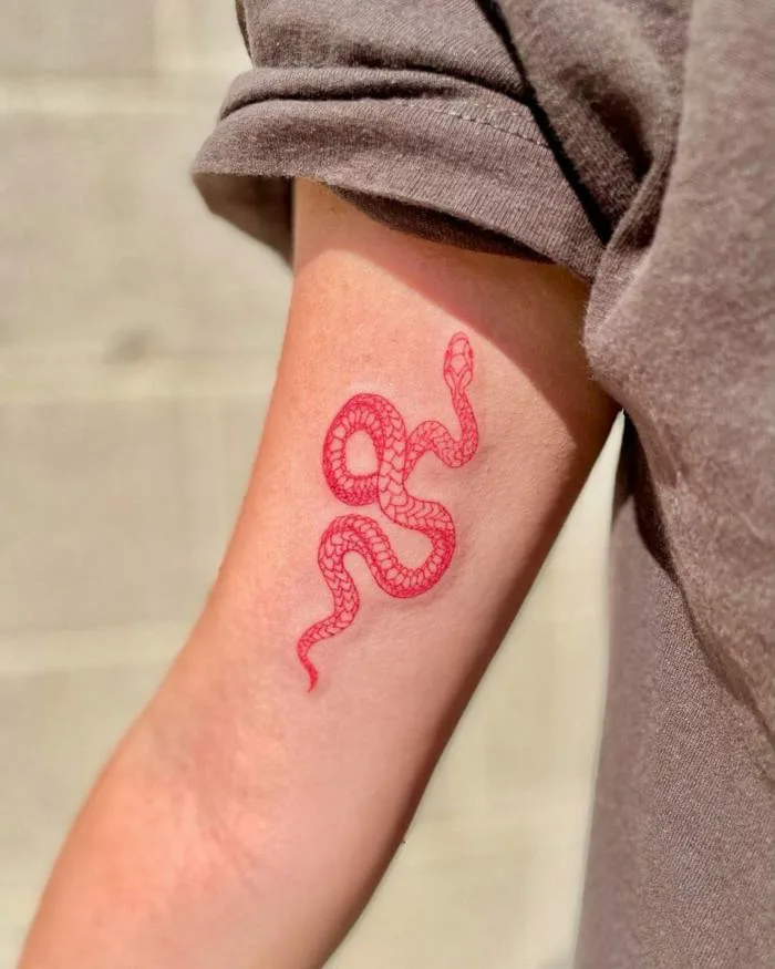 100+ hình xăm rắn, Medusa mini | Ý nghĩa hình xăm rắn